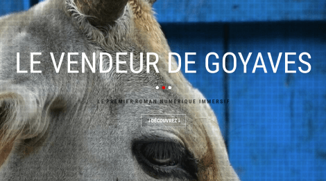 Capture d_écran 2017-07-26 à 17.51.58