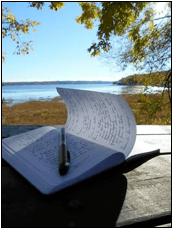 Cap-Rouge, été 2016 (N. Lanouette)