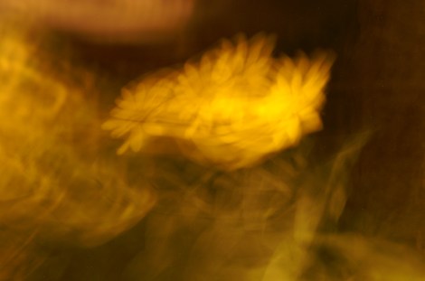 KONICA MINOLTA DIGITAL CAMERA