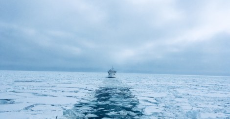 Brise glace