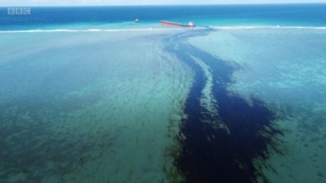 thumbnail_MareeNoireAout2020_Maurice